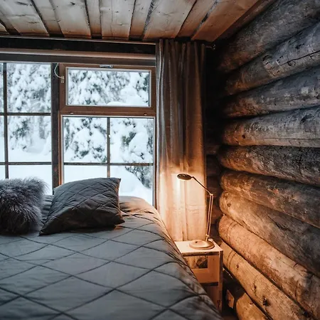 Rukan Talvikota Domek alpejski